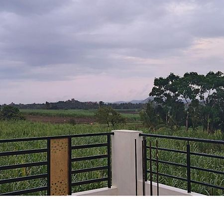 Coconut Homestay Хампи Экстерьер фото